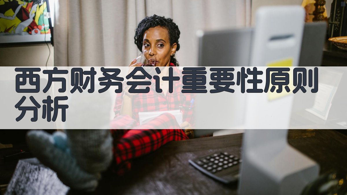 西方财务会计重要性原则分析