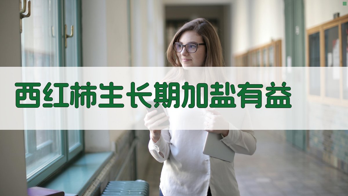 AI西红柿生长期加盐效益分析