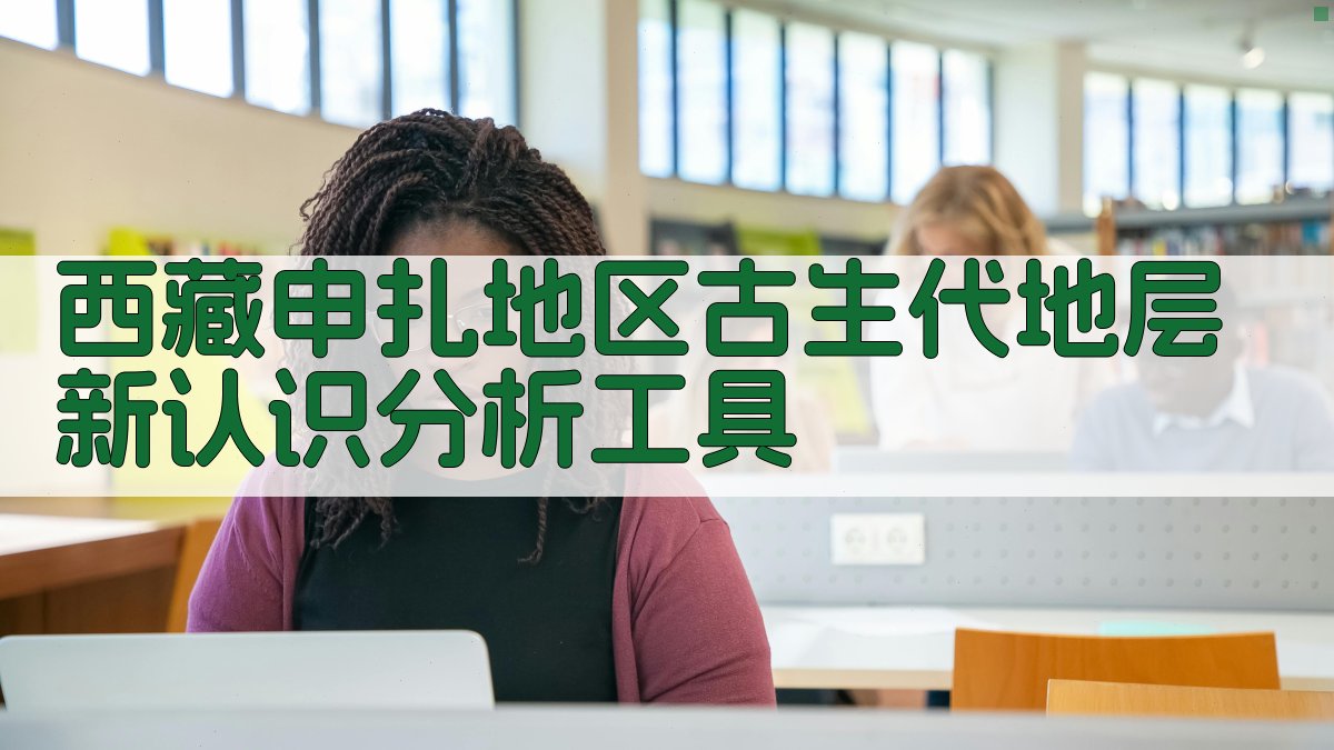 西藏申扎地区古生代地层新认识分析工具