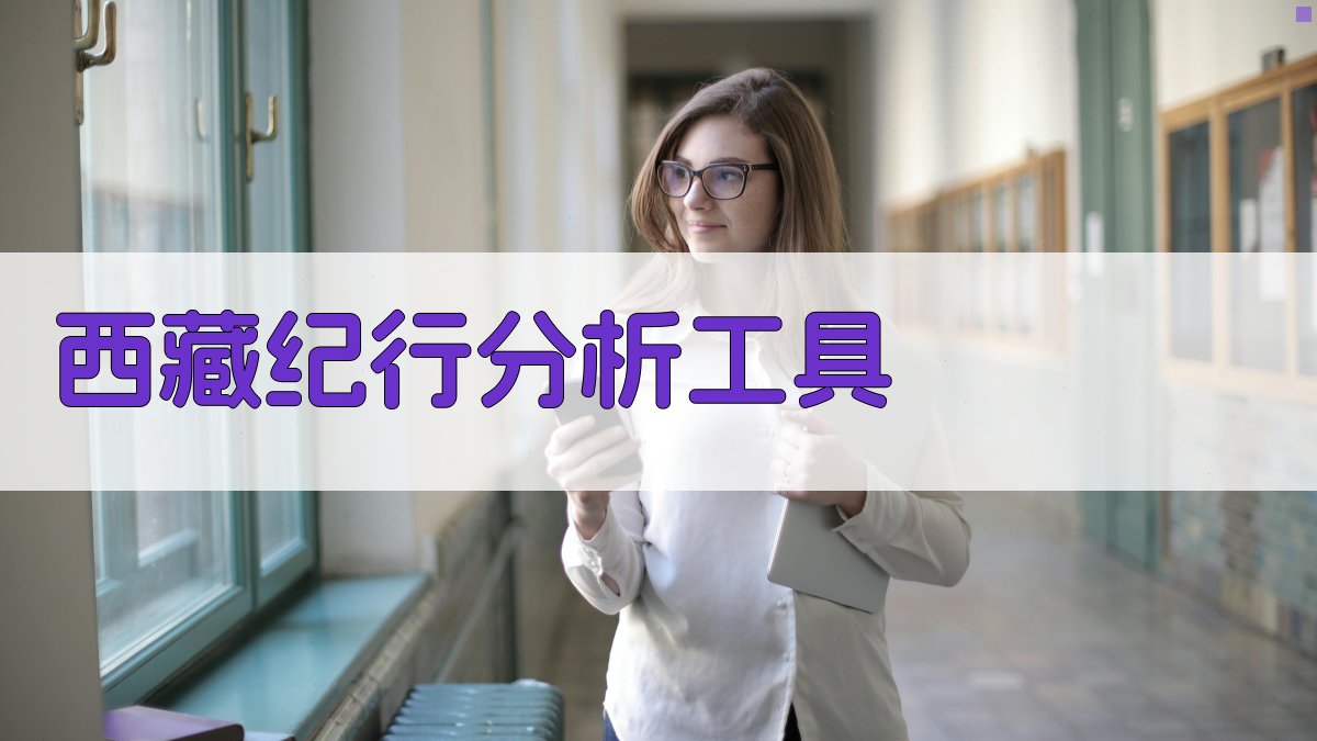 西藏纪行分析工具