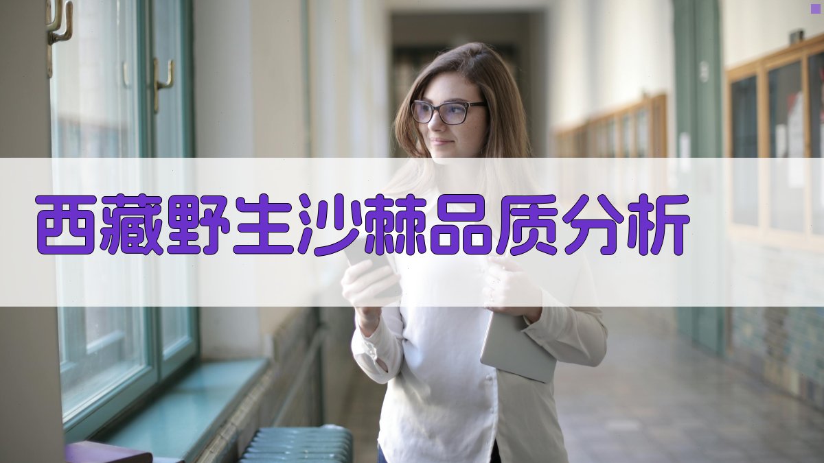 西藏野生沙棘品质分析