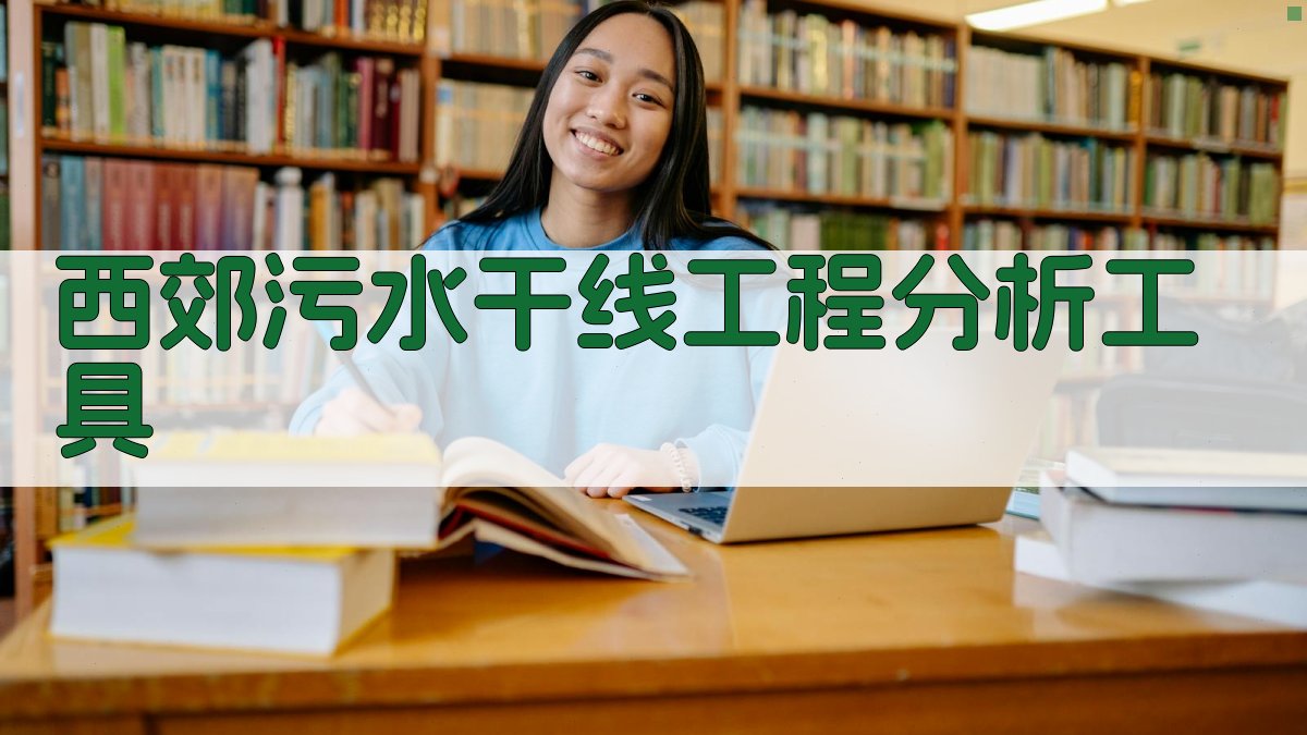 西郊污水干线工程分析助手