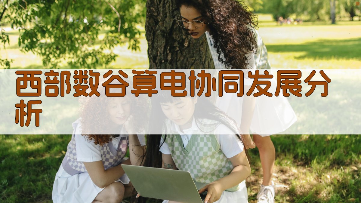 西部数谷算电协同发展分析