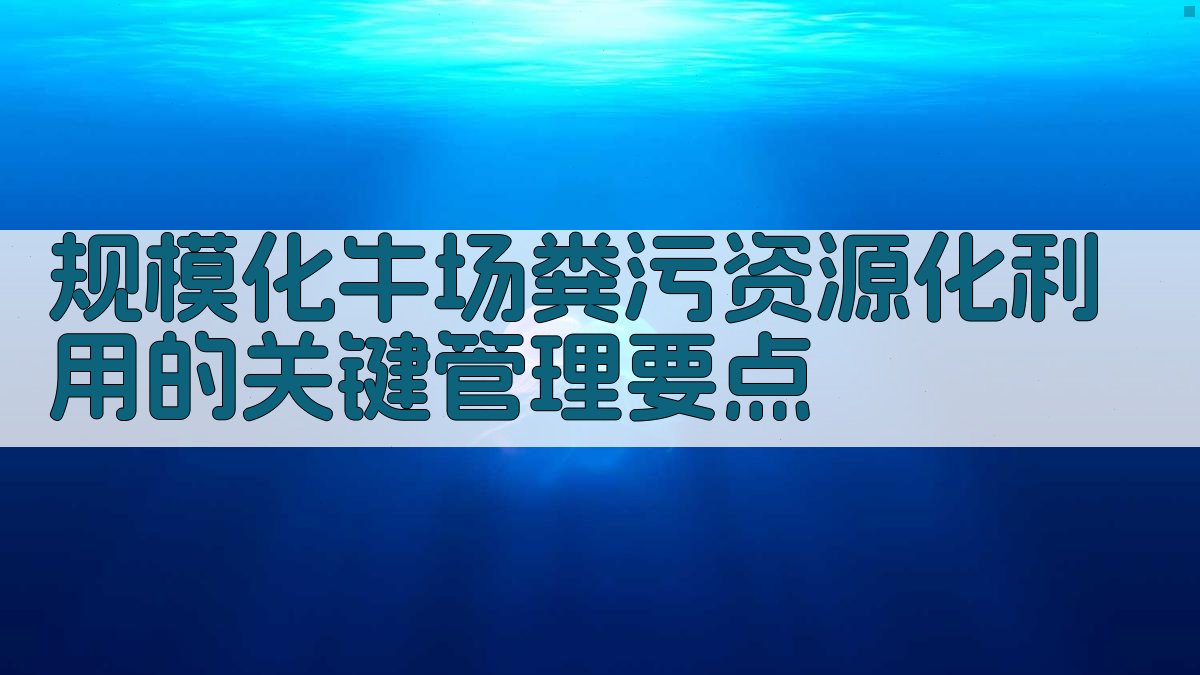 规模化牛场粪污资源化利用的关键管理要点