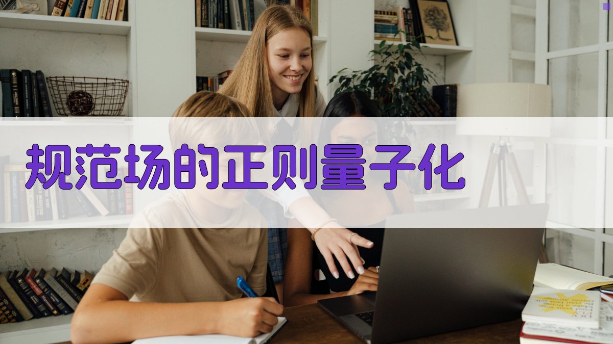 规范场的正则量子化分析