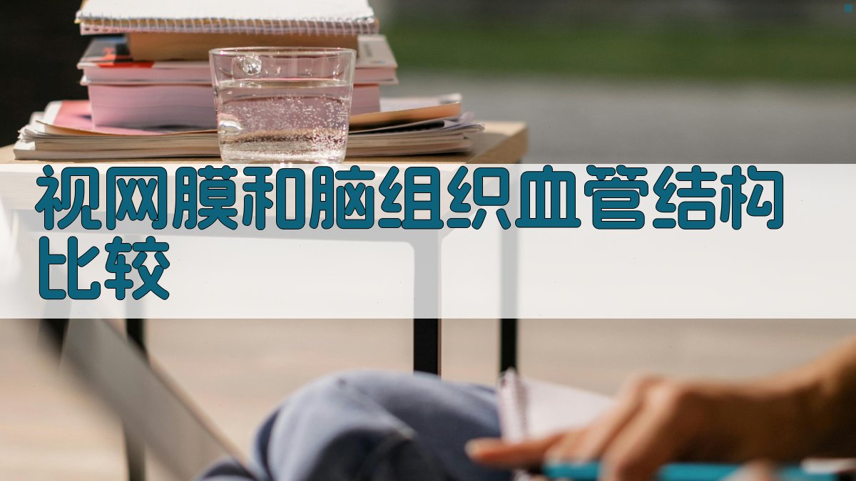 AI视网膜和脑组织血管结构比较分析