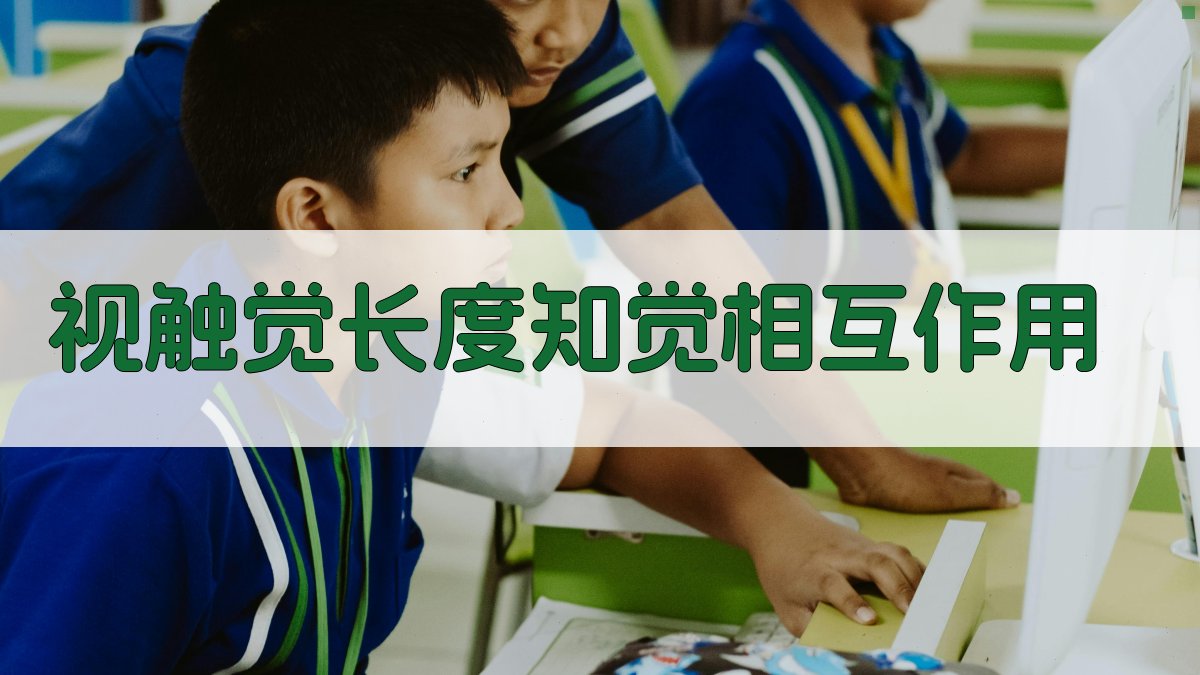 视触觉长度知觉