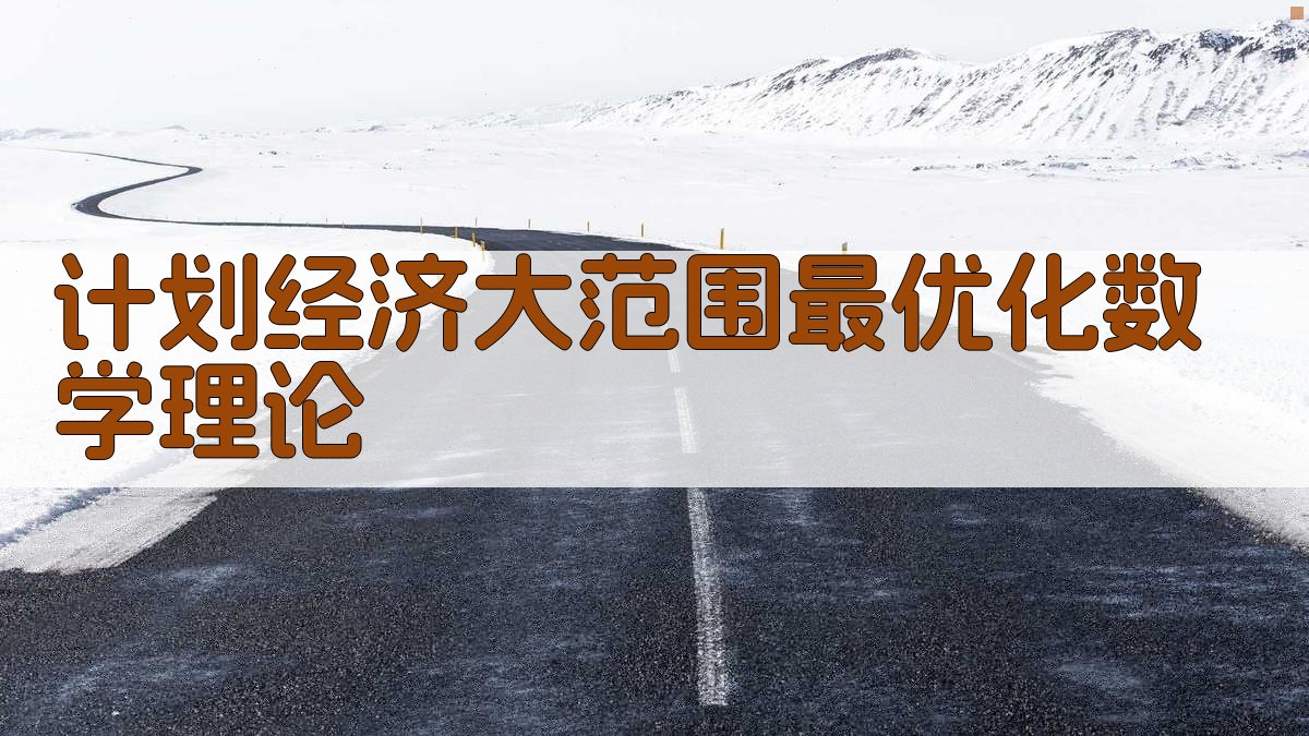 计划经济大范围最优化数学理论