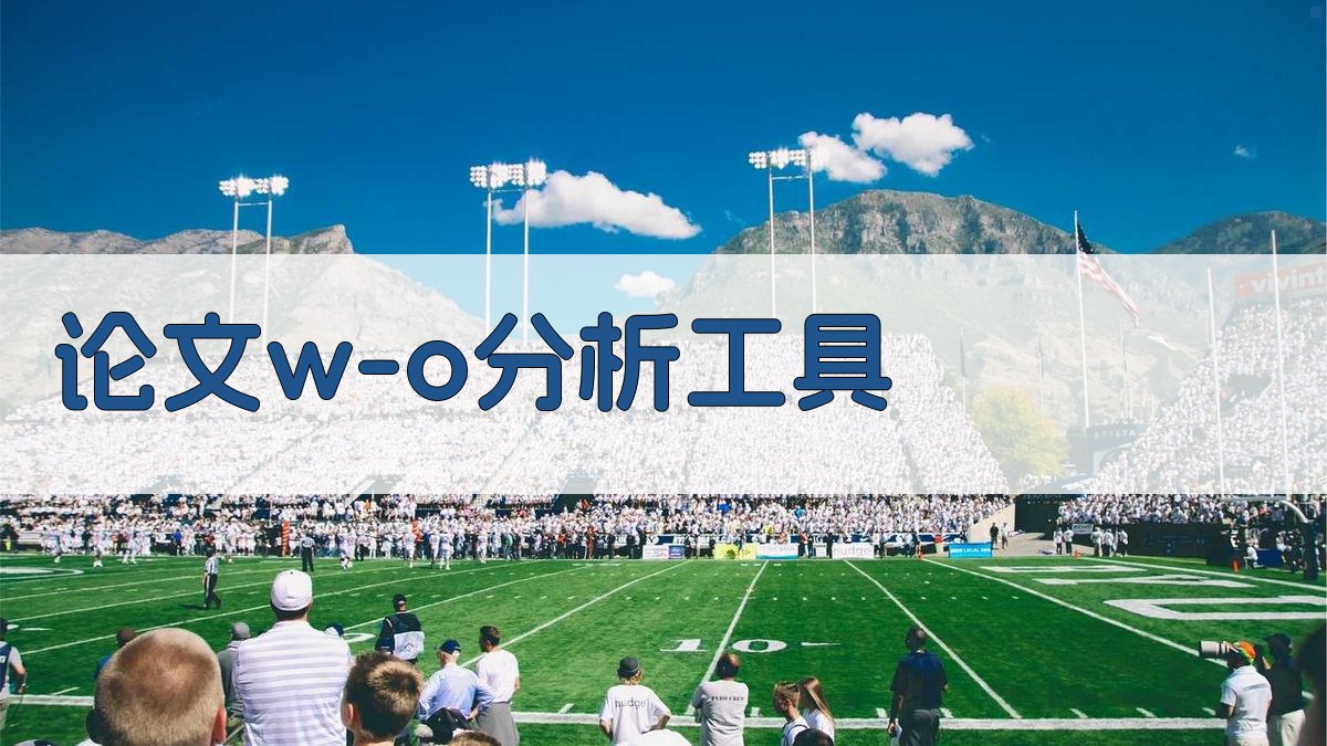 AI论文中w/o分析工具