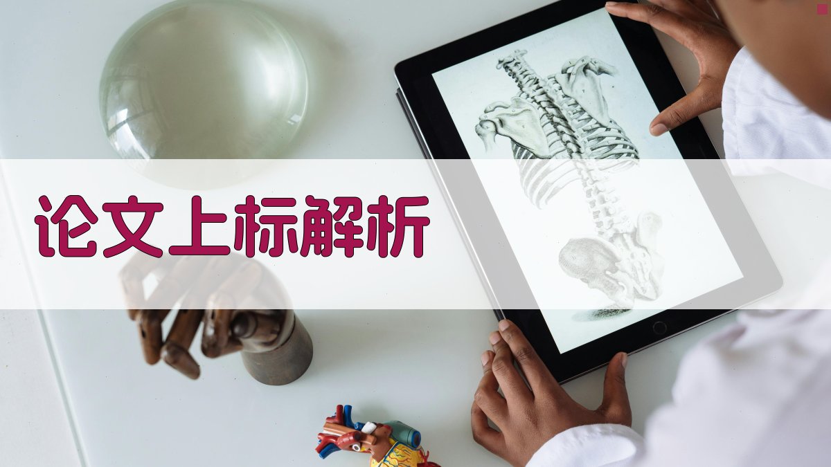 论文中上标解析