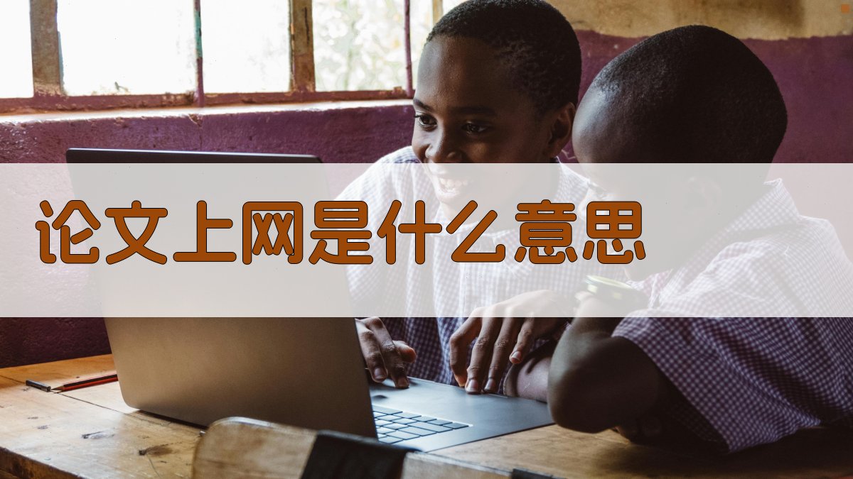 论文上网是什么意思