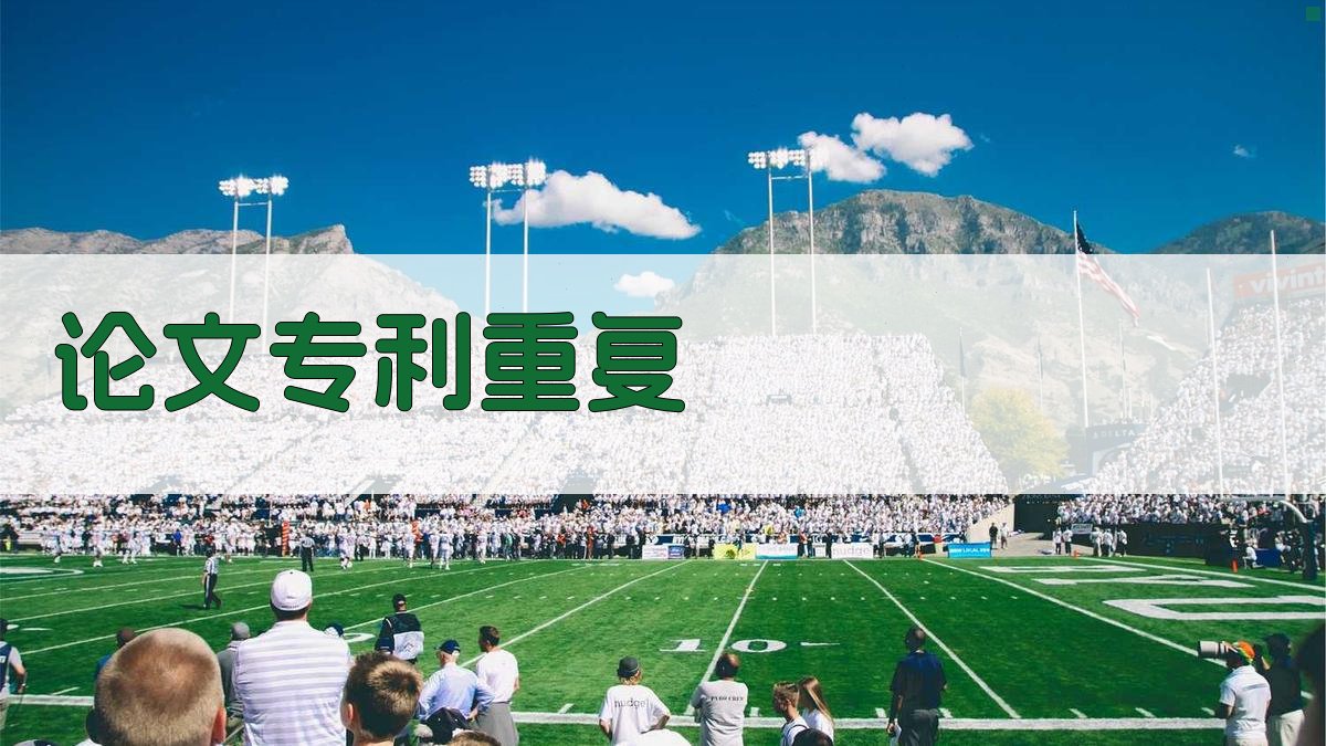 AI论文和专利重复查询工具