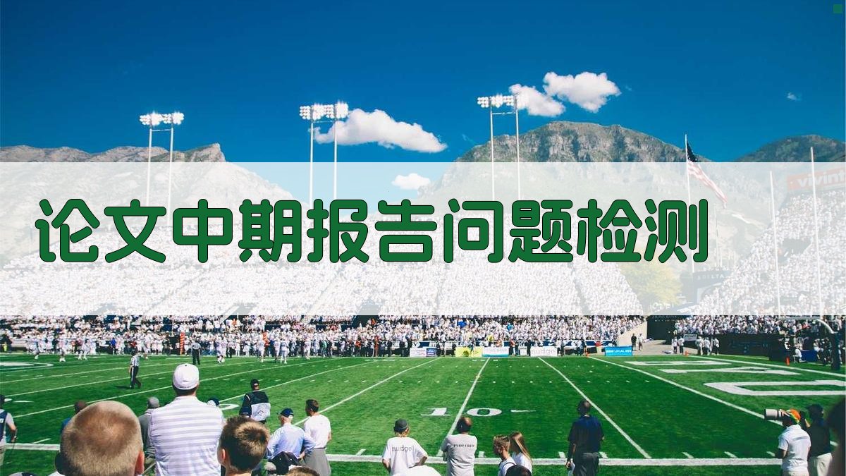 AI论文中期报告问题检测