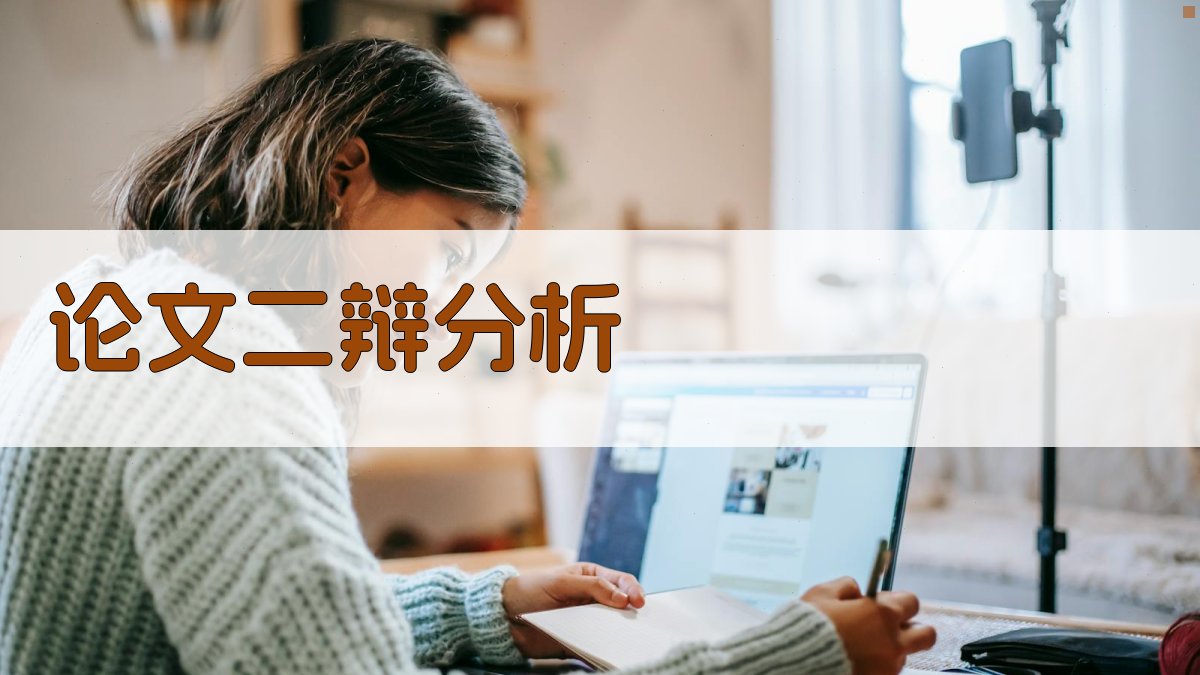论文二辩分析