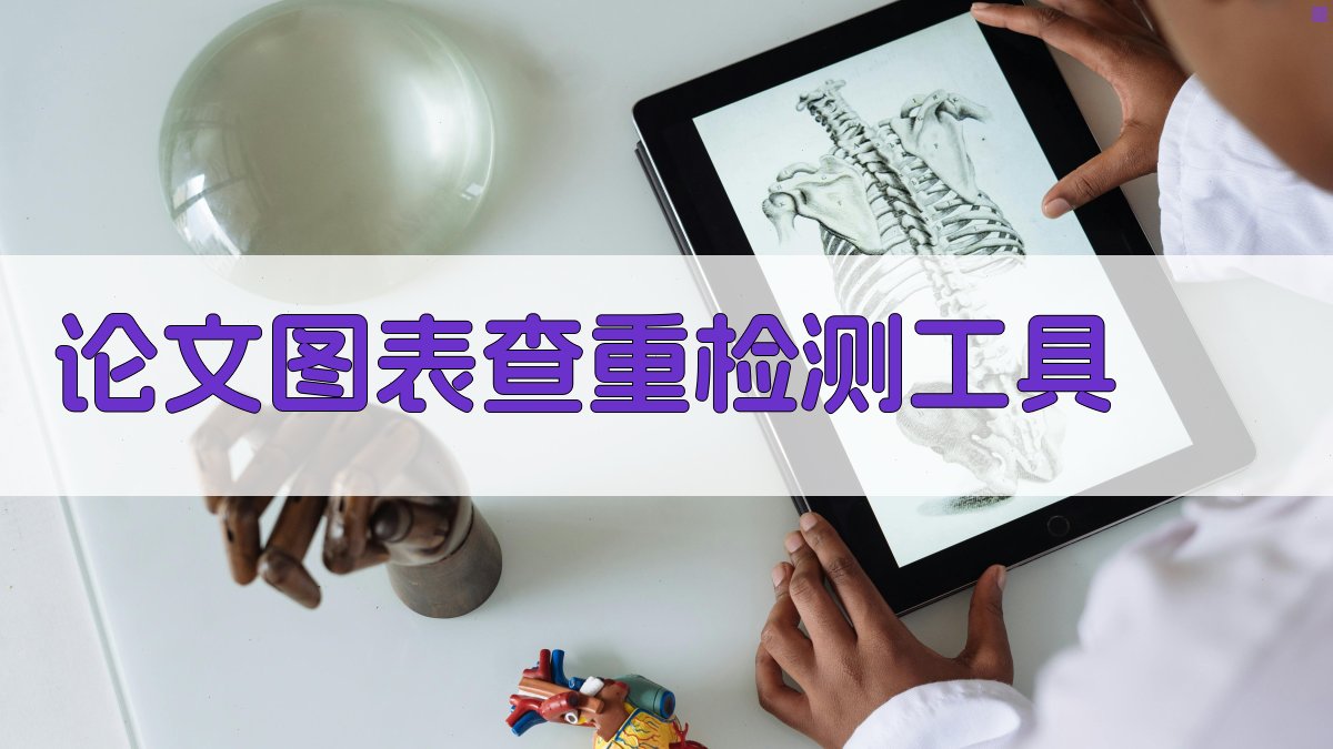 论文图表查重检测工具