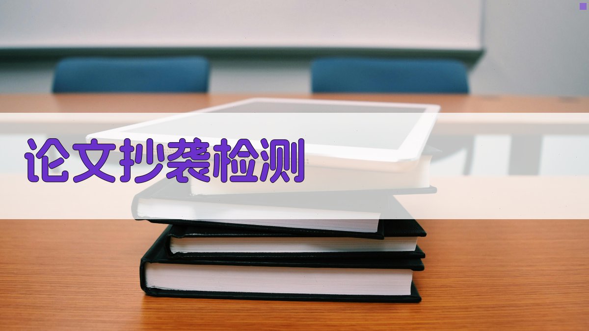 中国政法大学论文抄袭检测工具