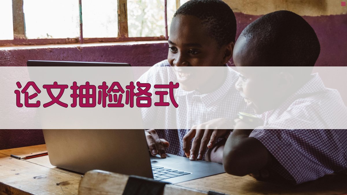 论文抽检格式查询