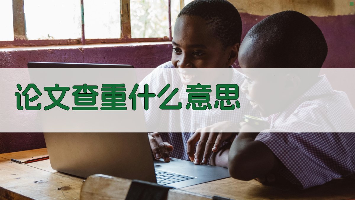 论文查重什么意思