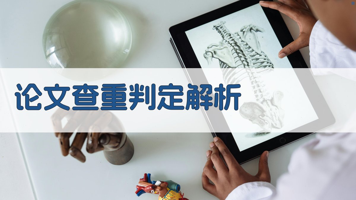 论文查重判定机制解析