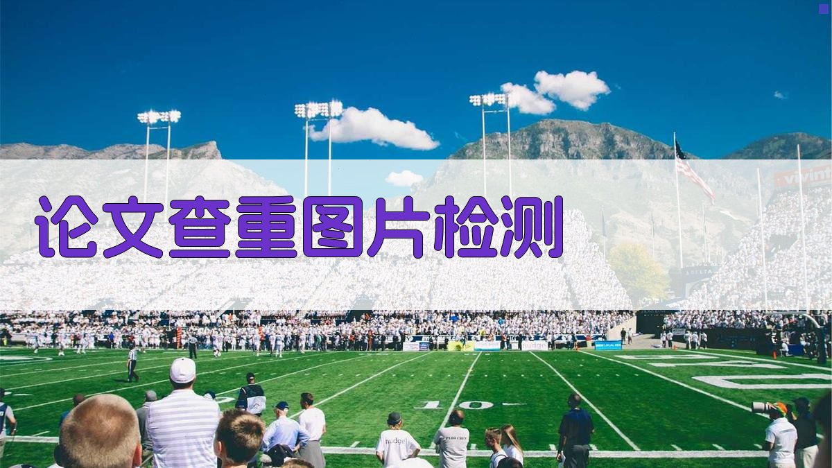 论文查重图片检测