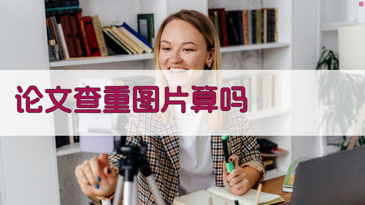 论文查重图片检测