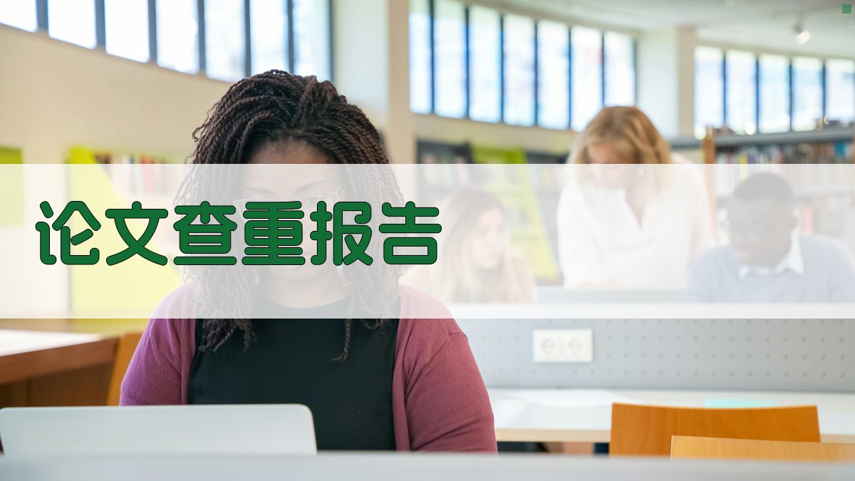 AI论文查重报告指南