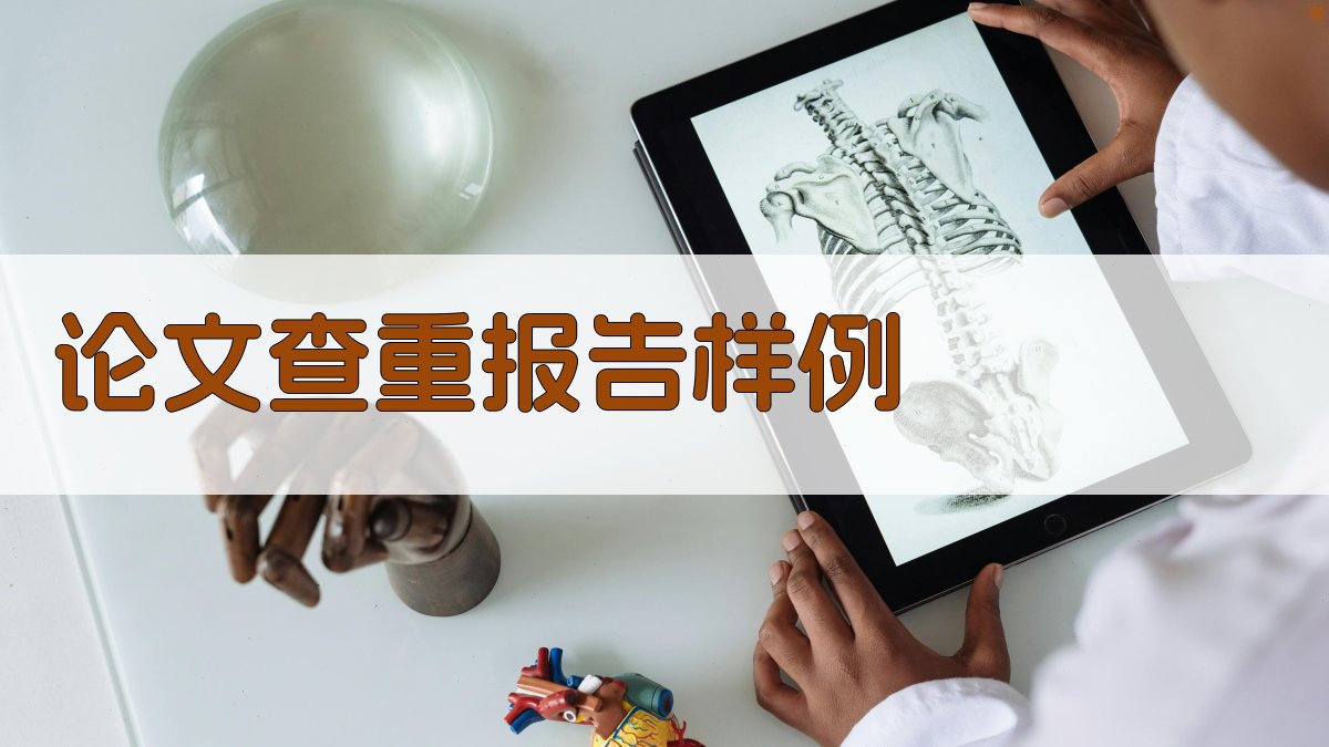 AI论文查重报告样例
