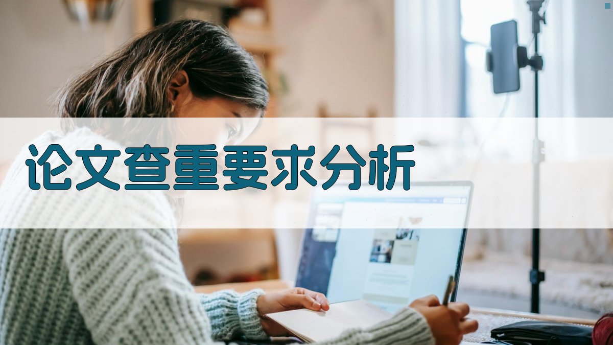 AI论文查重要求分析器
