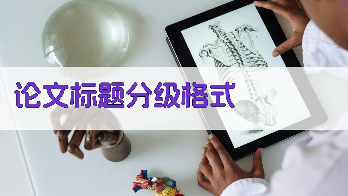论文标题分级格式