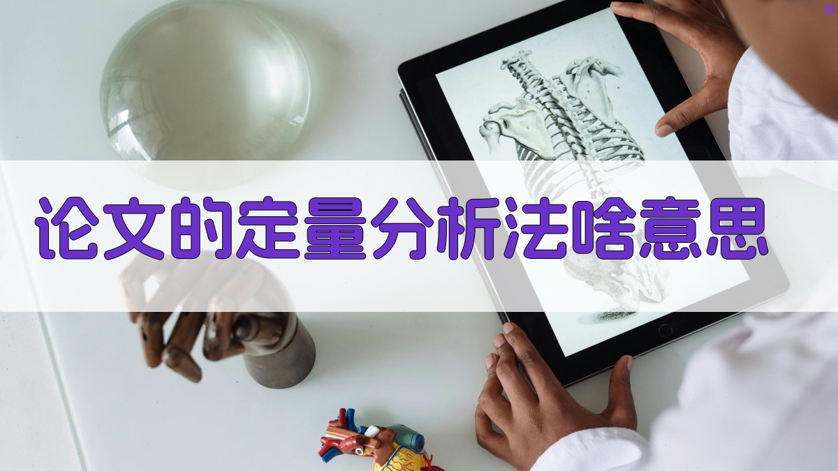 论文的定量分析法解析器