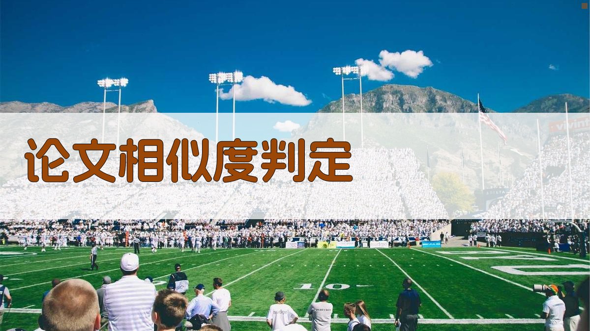 AI论文相似度判定专家