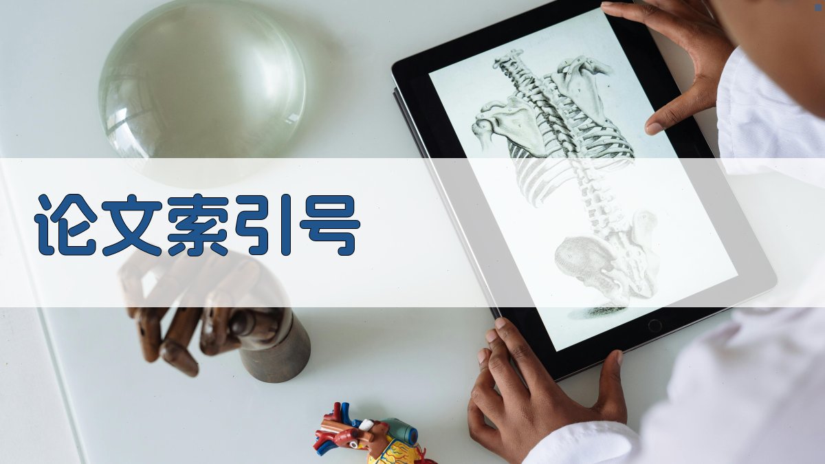 论文索引号示例