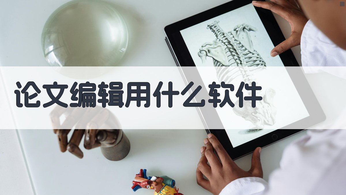 论文编辑用什么软件