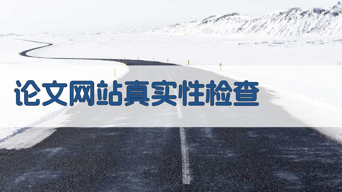 AI论文网站真实性检查
