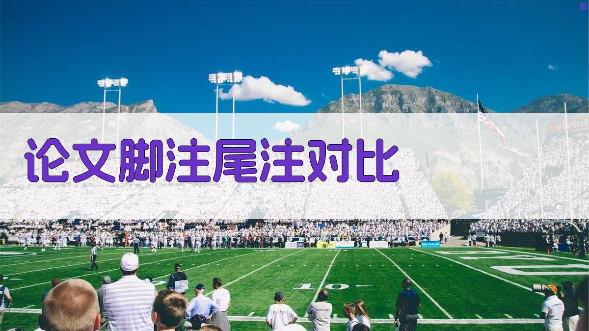 AI论文脚注与尾注对比