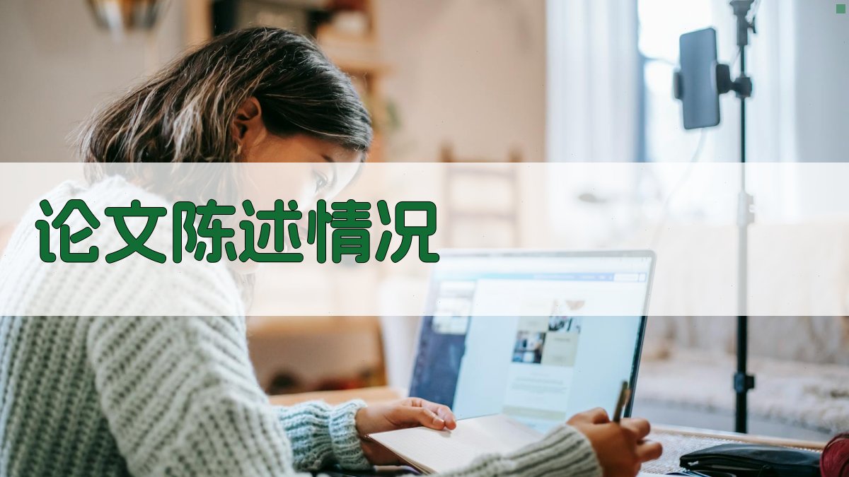 论文陈述情况