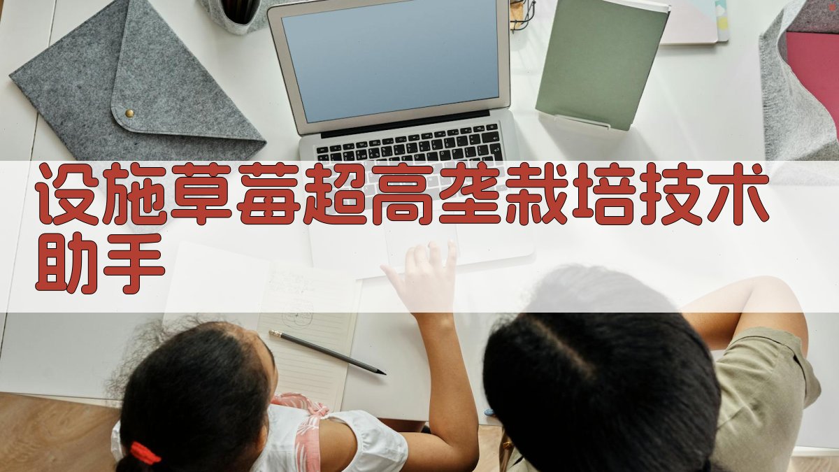 设施草莓超高垄栽培技术助手