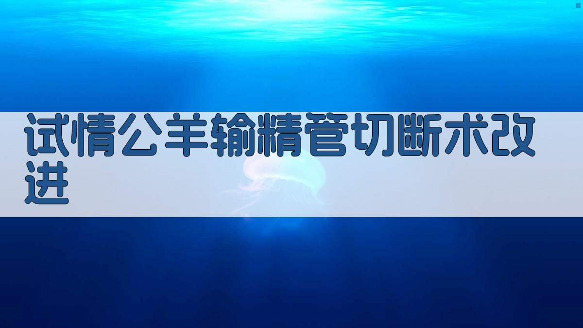 AI试情公羊输精管切断术改进工具