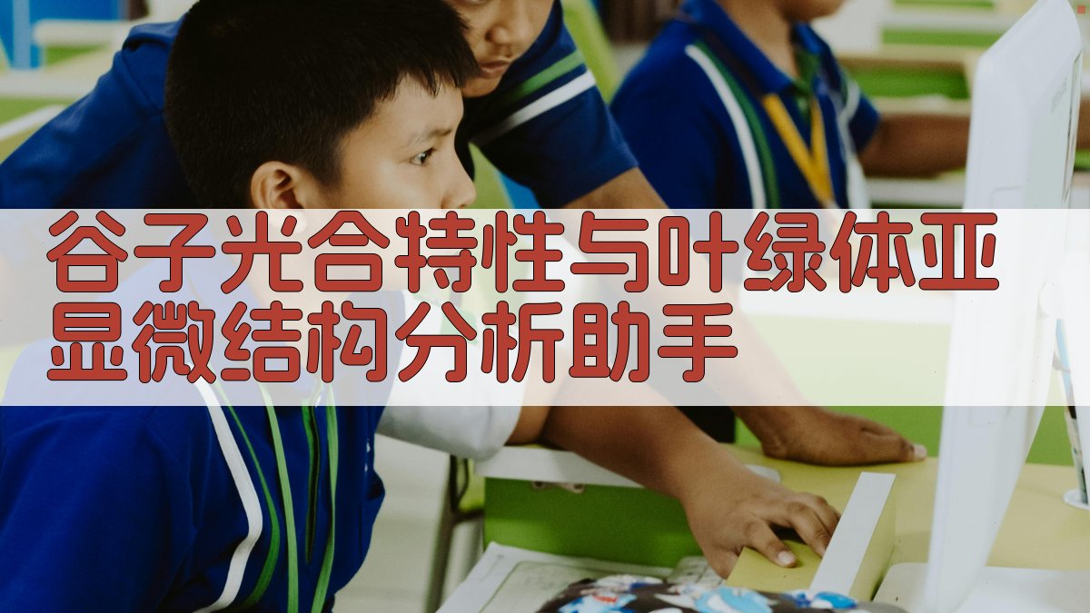 谷子光合特性与叶绿体亚显微结构分析助手