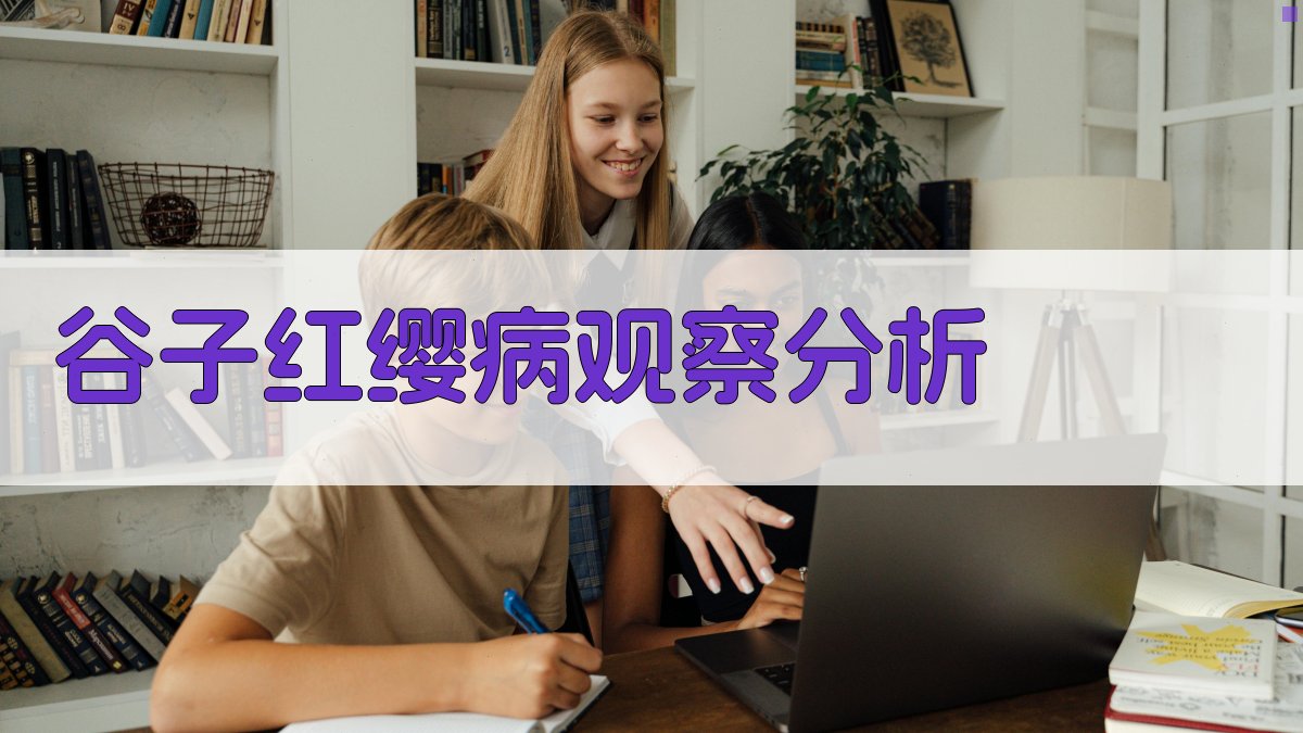 AI谷子红缨病观察分析
