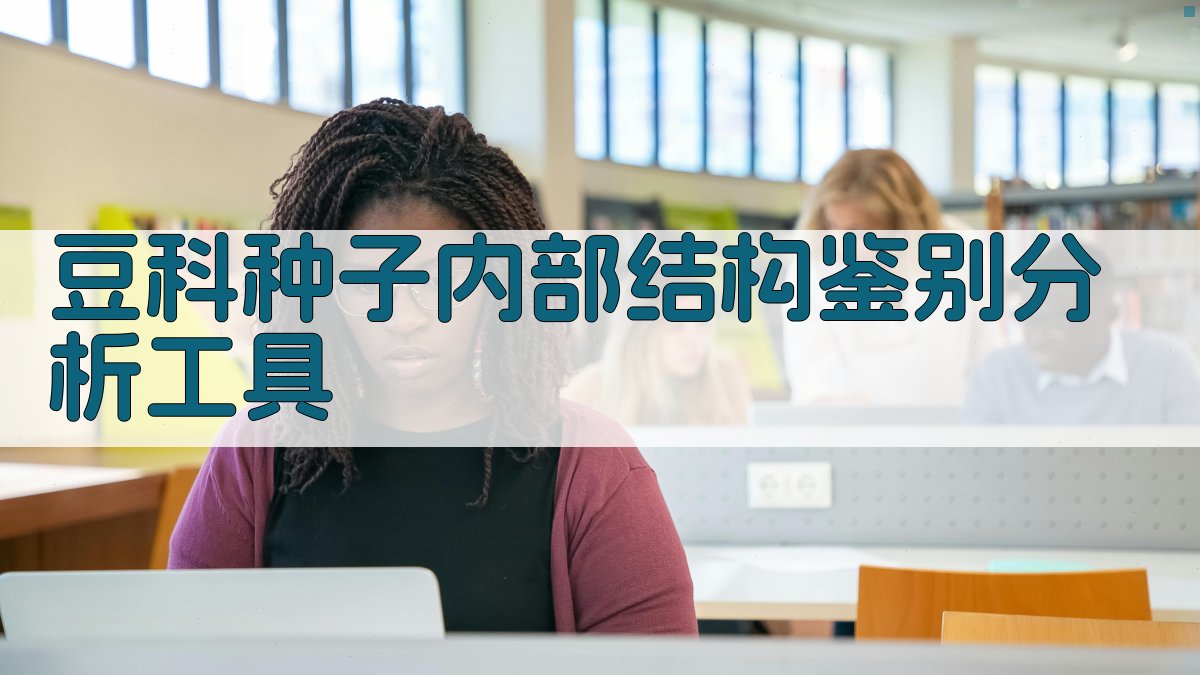 豆科种子内部结构鉴别分析工具