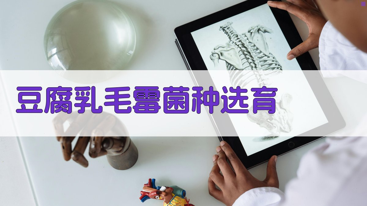 豆腐乳毛霉菌种选育