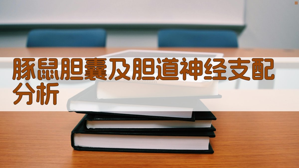 豚鼠胆囊及胆道神经支配分析