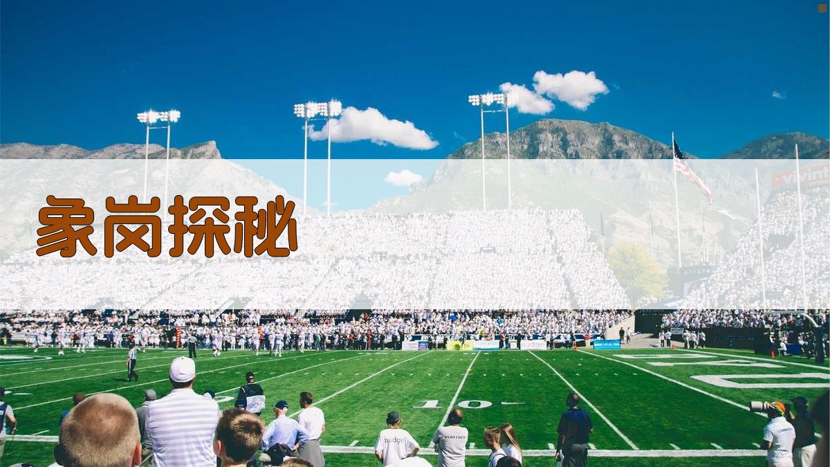 象岗探秘分析工具