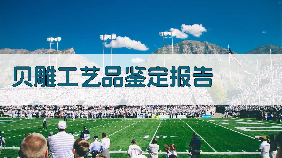 AI智能贝雕工艺品鉴定报告生成器