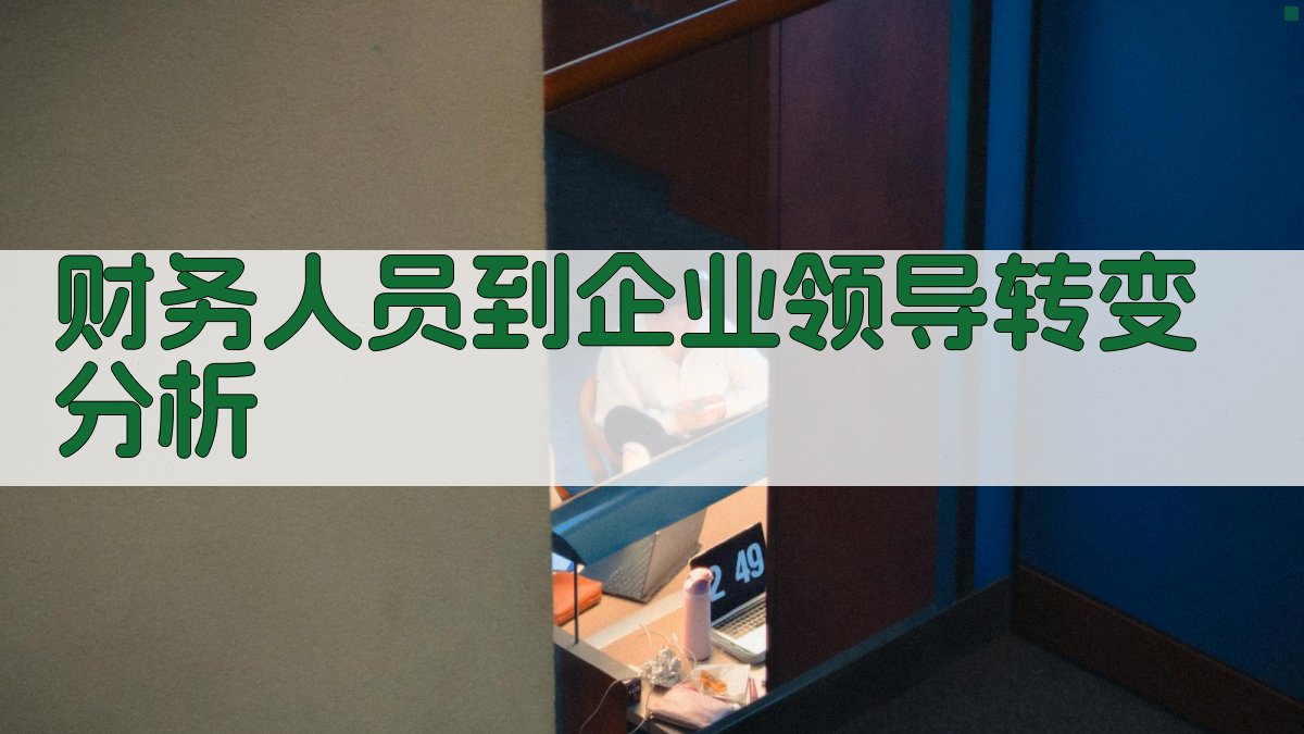 财务人员到企业领导转变分析
