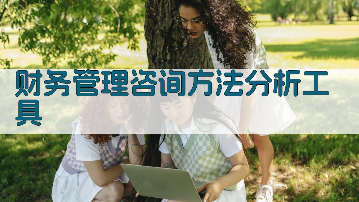 AI财务管理咨询方法分析工具