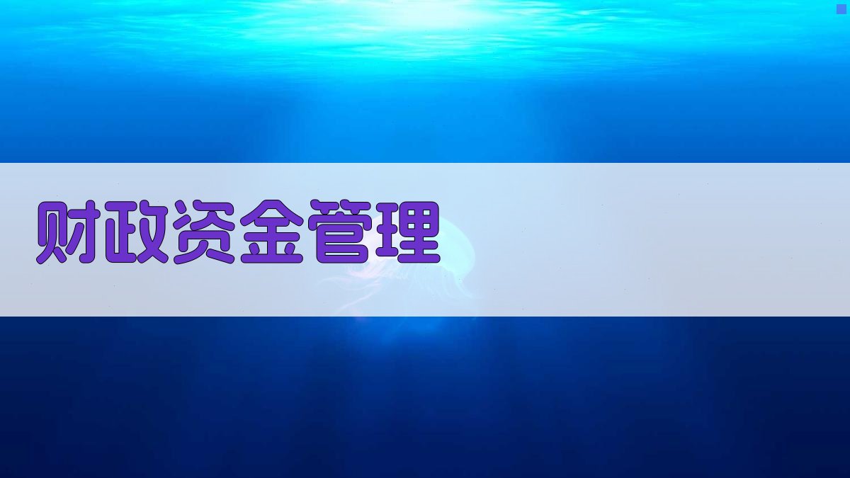 AI智能财政资金管理规划工具