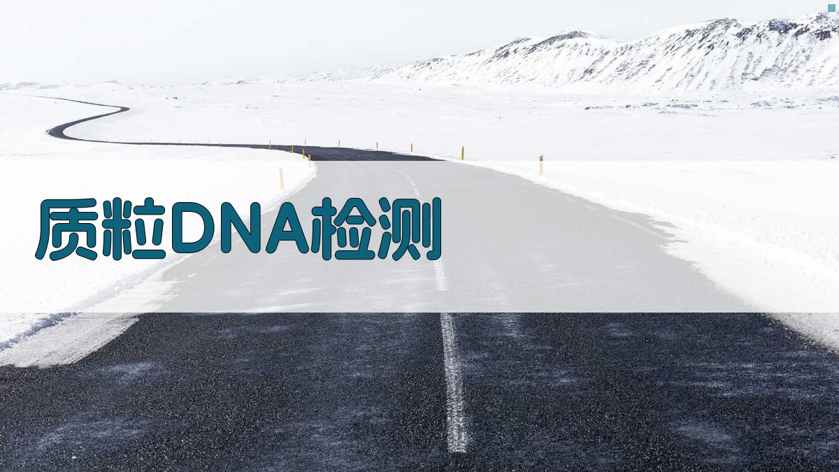 AI快速检测质粒DNA及其在流行病学分析上的应用
