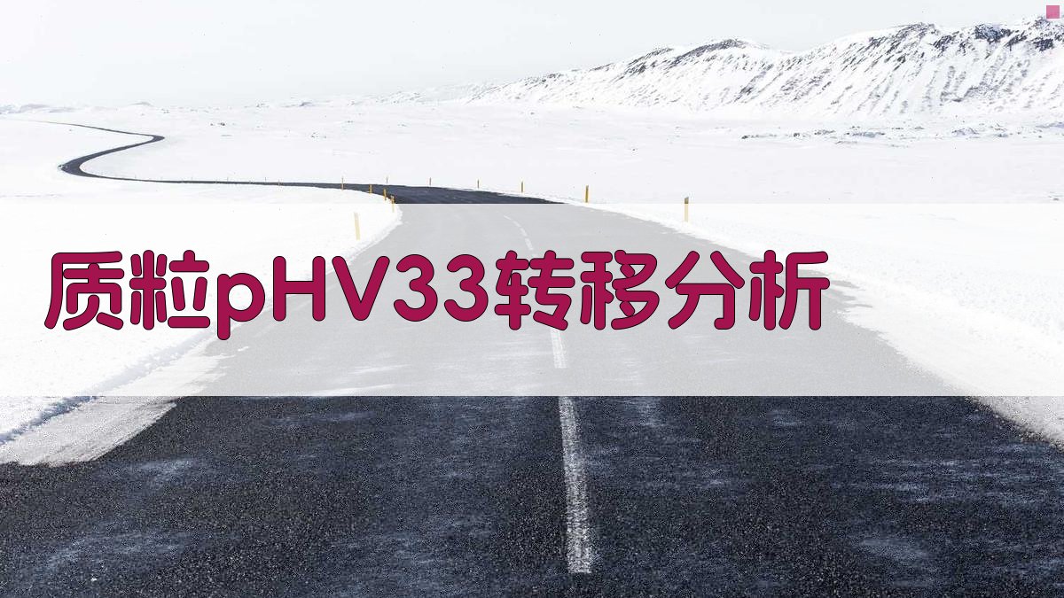 质粒pHV33转移分析